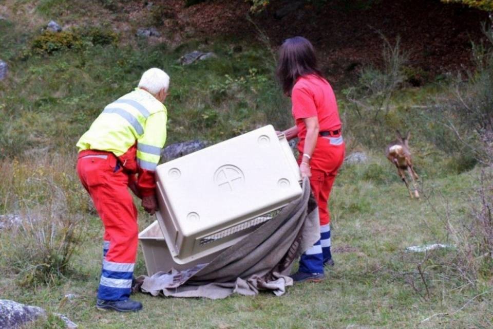 Buona fortuna piccola Tomè