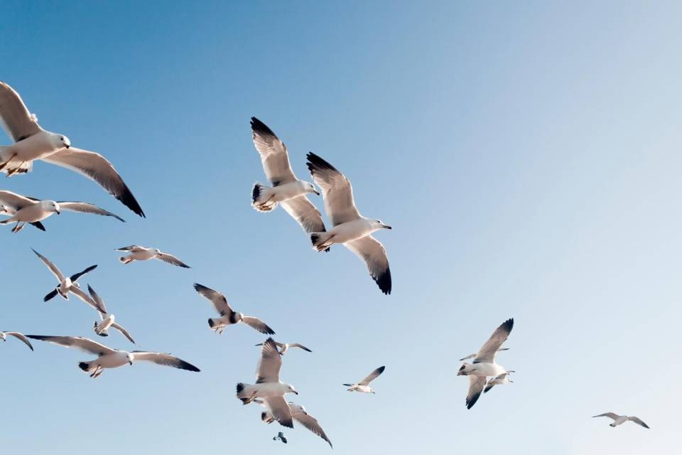 Foto Shutterstock
