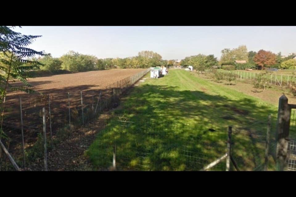 Cadavere di una donna ritrovato in un campo agricolo