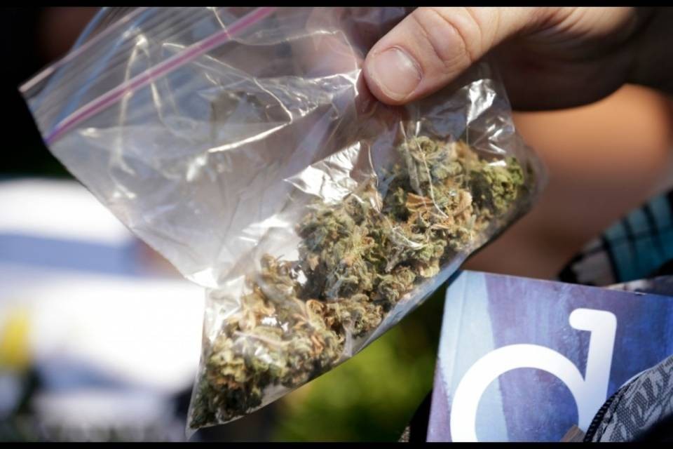 Cannabis in farmacia: progetto pilota a Berna