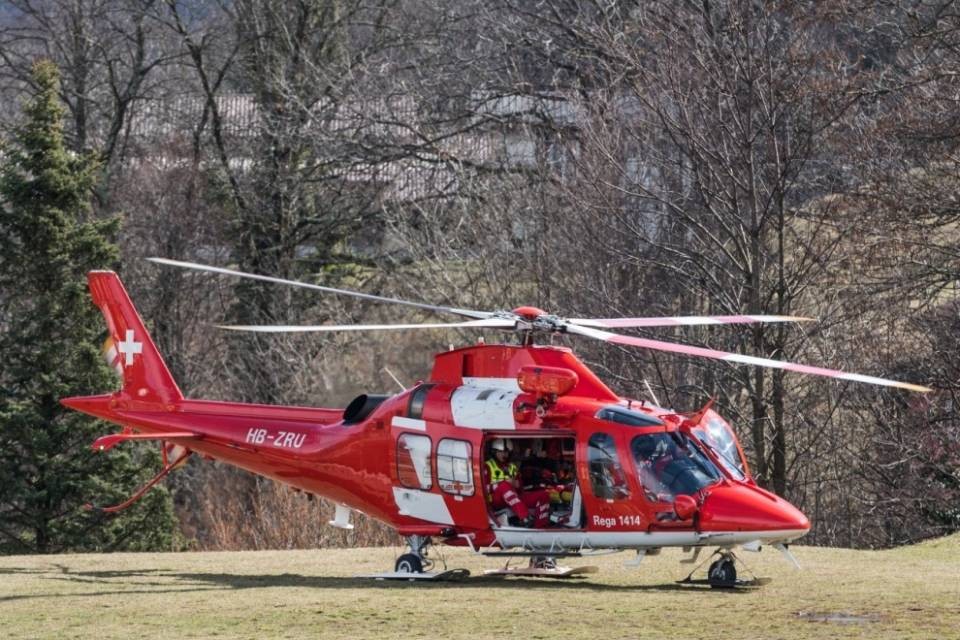 Operaio colpito alla schiena da un albero, è grave