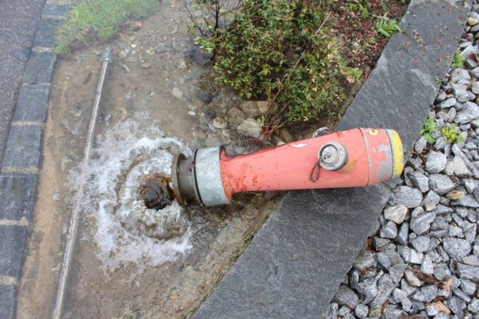 Esce di strada e abbatte un idrante