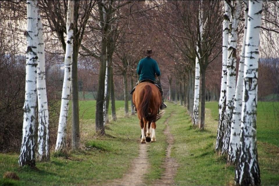 Tragedia a Fulenbach: bambina cade da cavallo e muore