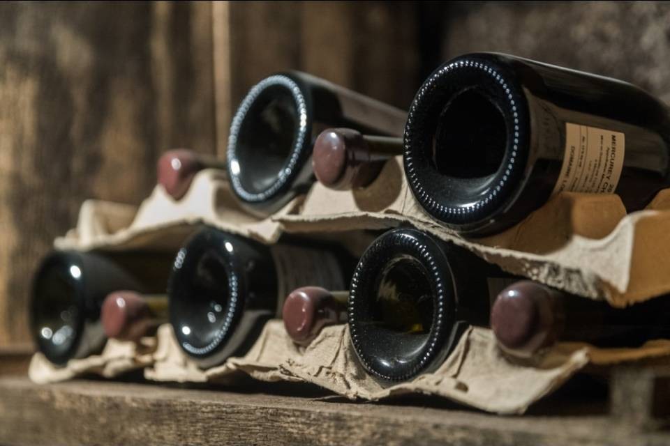 "I ristoratori non promuovono il vino ticinese"
