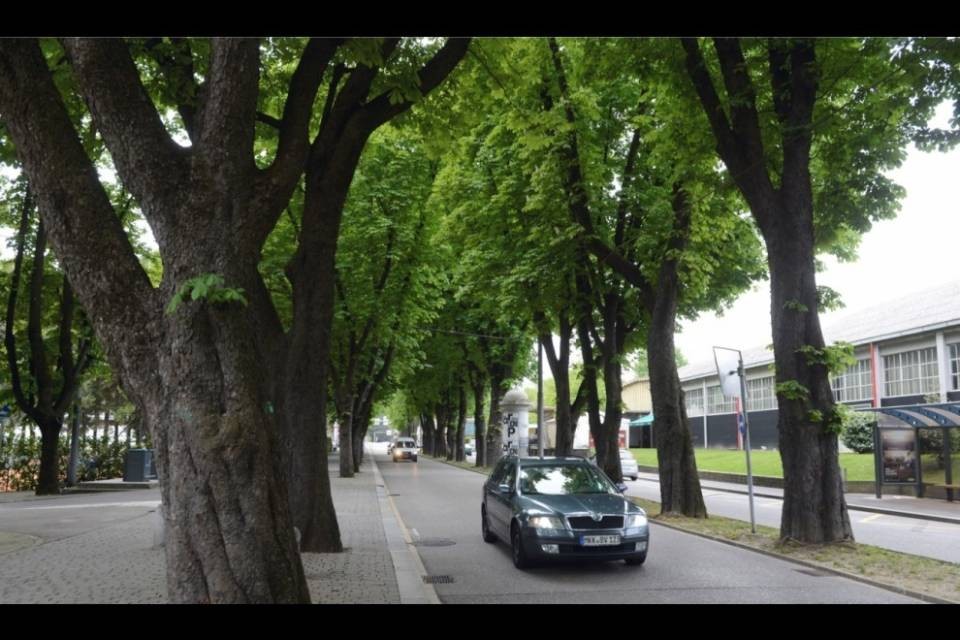 Viale Castagnola, i lavori iniziano il 27 dicembre