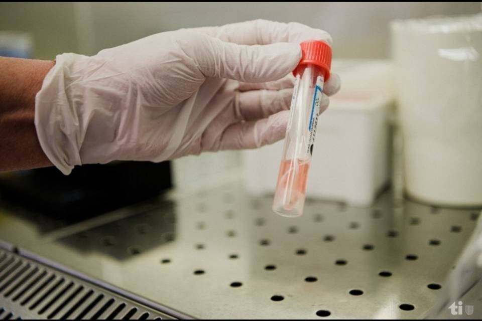 IOR e IRB studiano una possibile terapia