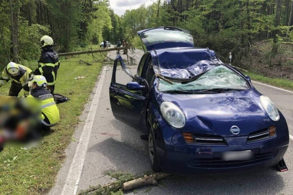 Muore in macchina schiacciata da un albero