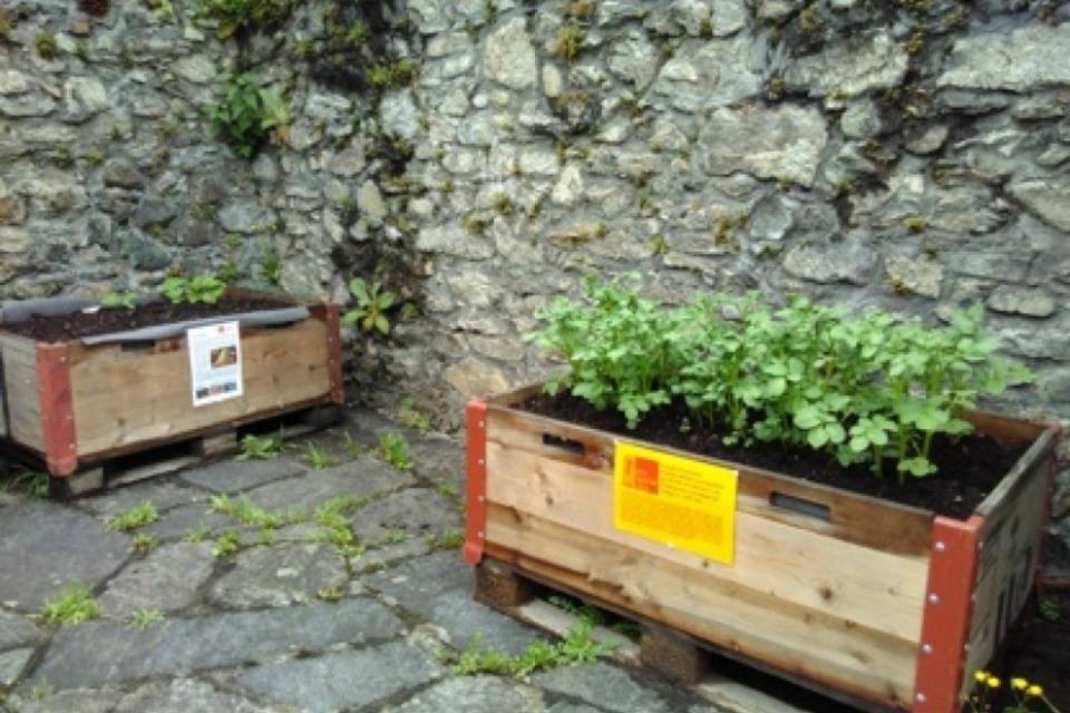 "Bellinzona: promuoviamo orti e frutteti urbani!"