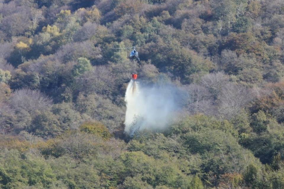 Incendio boschivo a Breggia