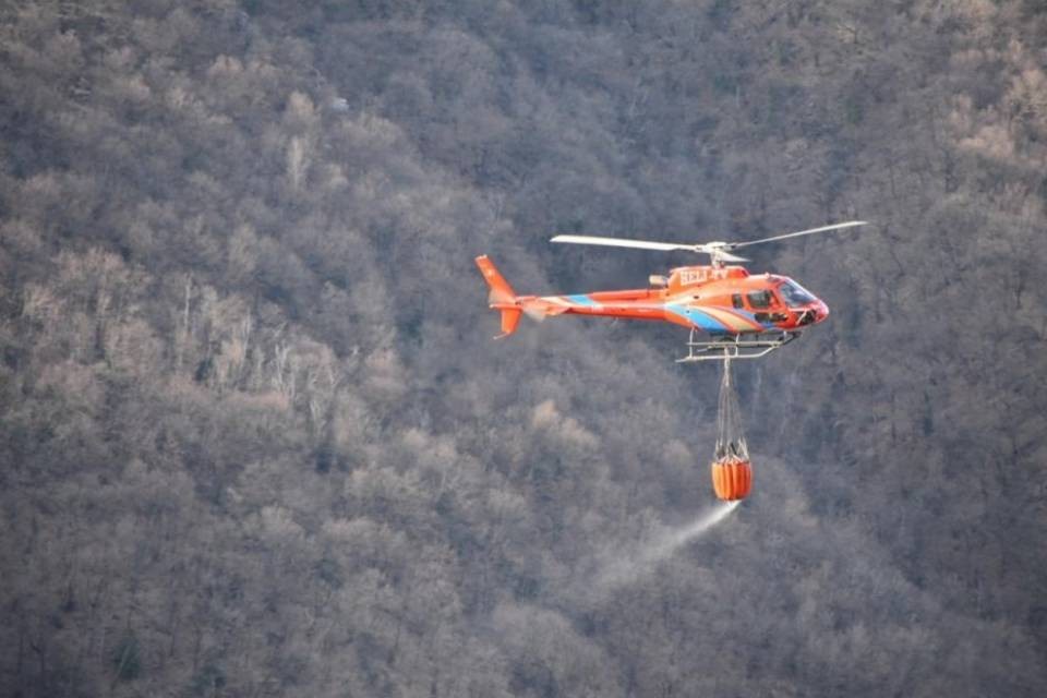 Incendio nei boschi sopra Brusino Arsizio