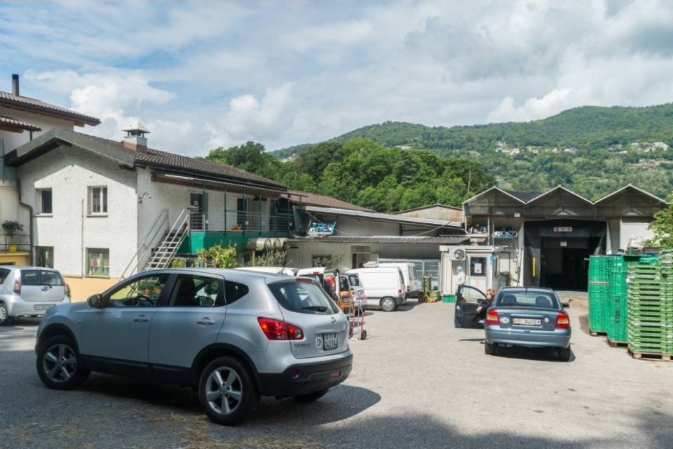 L'Orto cerca alternative a Crotta