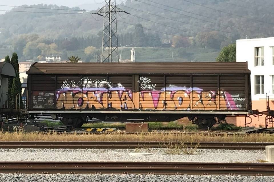 Un treno dedicato a Norman Gobbi