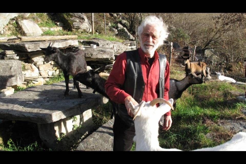 Olindo Vanzetta - Petizione a tutela dei lupi