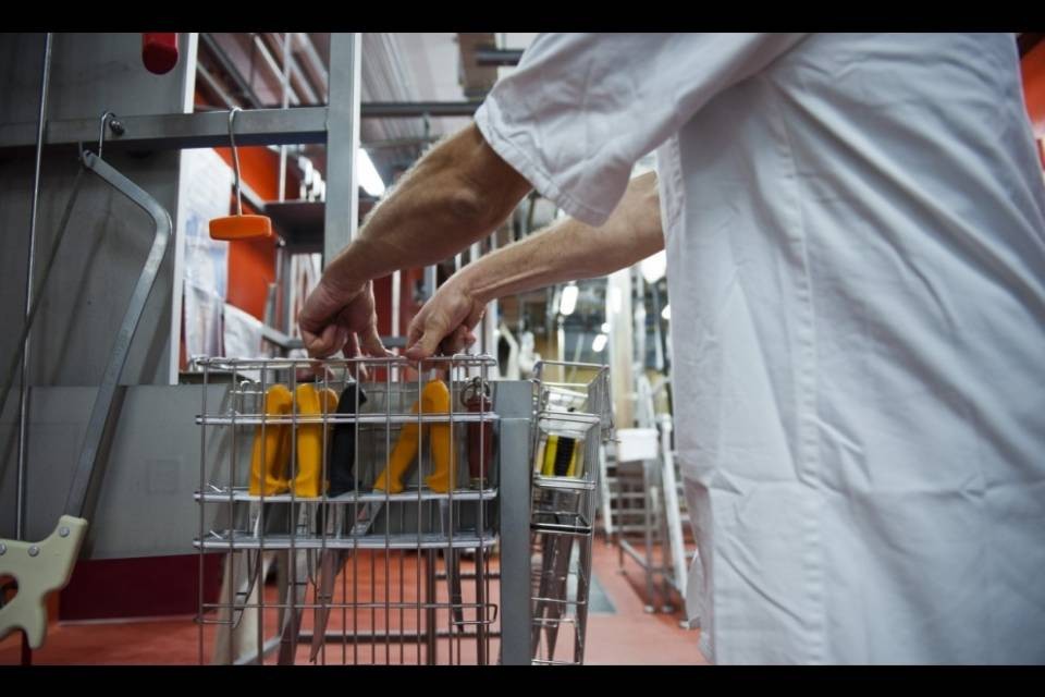 Macello cantonale, CdA rivoluzionato