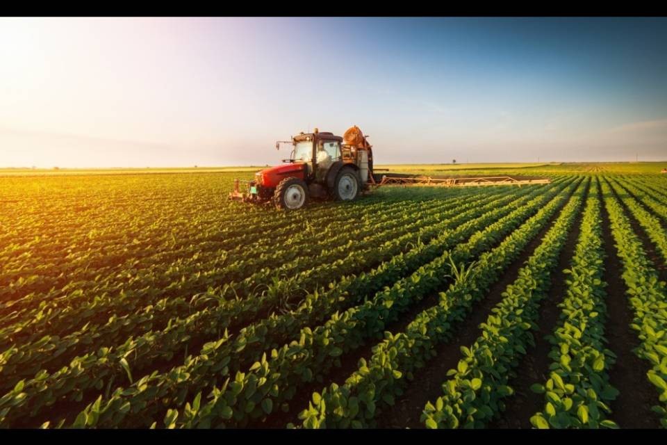 Politica agricola 2022: più efficienza e tutela dell'ambiente