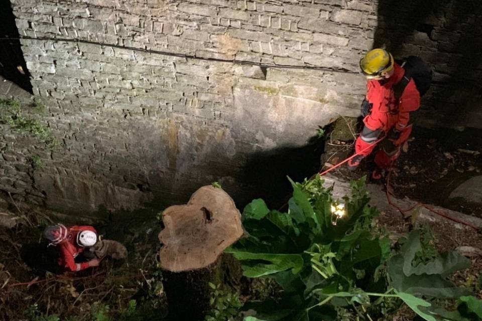Cavigliano, recuperato un cane caduto in un burrone