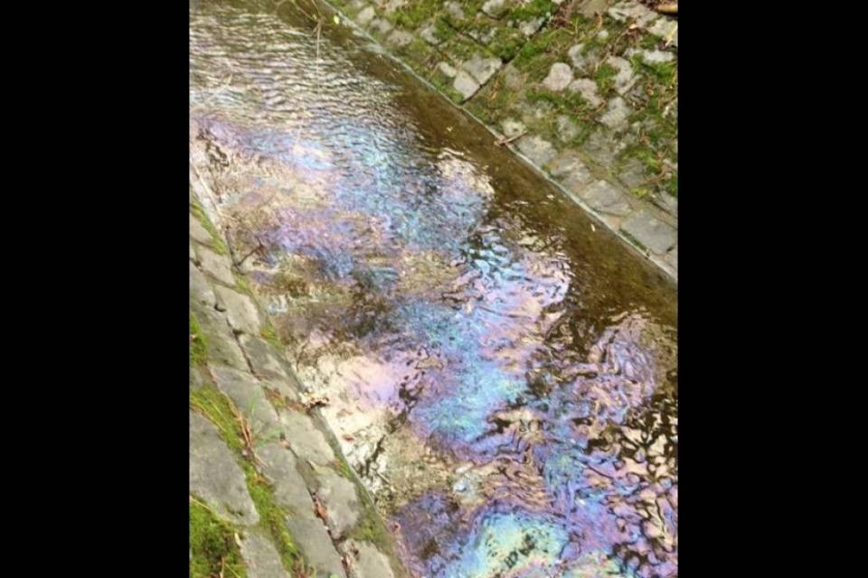 Nuovo inquinamento nel fiume Vedeggio