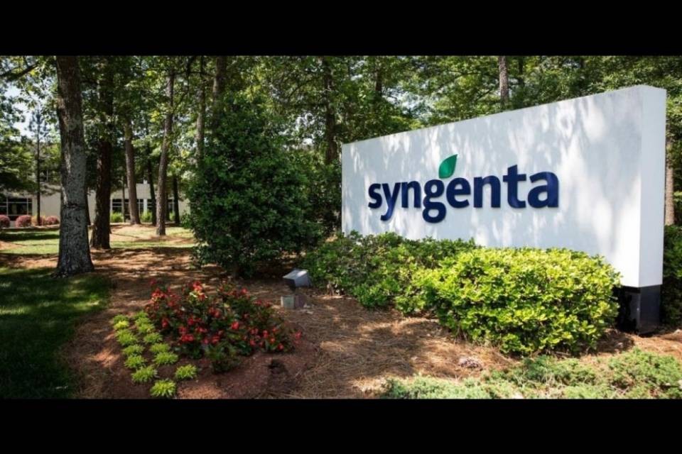 Syngenta deve sborsare oltre 200 milioni di dollari