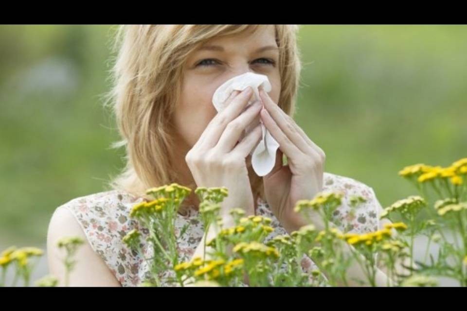 Aprile, sole e caldo quasi da record. E le allergie...