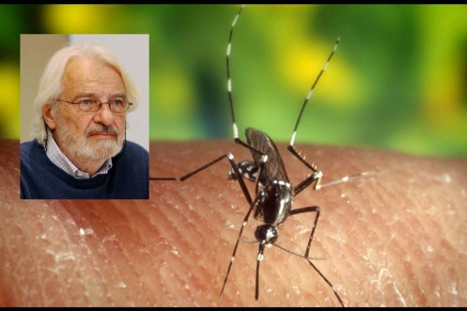 Eritrei ammalati: "Ma non erano perseguitati?"