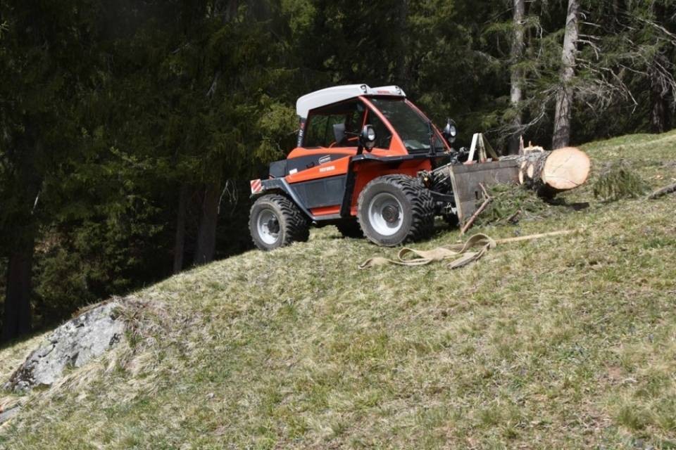 Travolto da un albero, morto un 56enne nei Grigioni