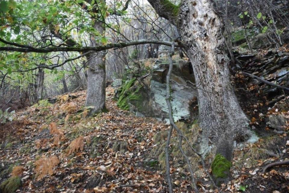 Incidente mortale in montagna a Soazza