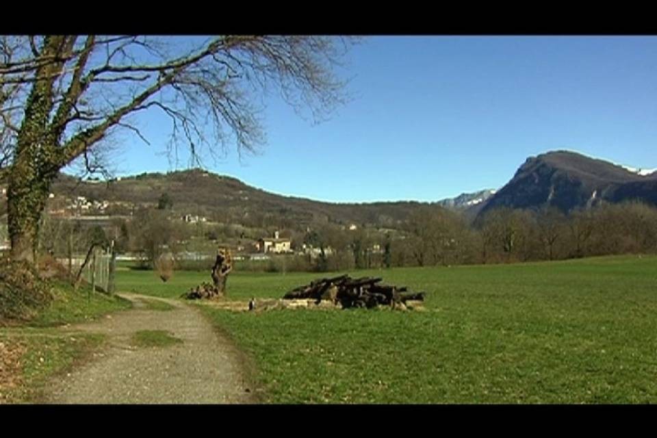 Valera: "Parole ingenerose da Zali, ma..."