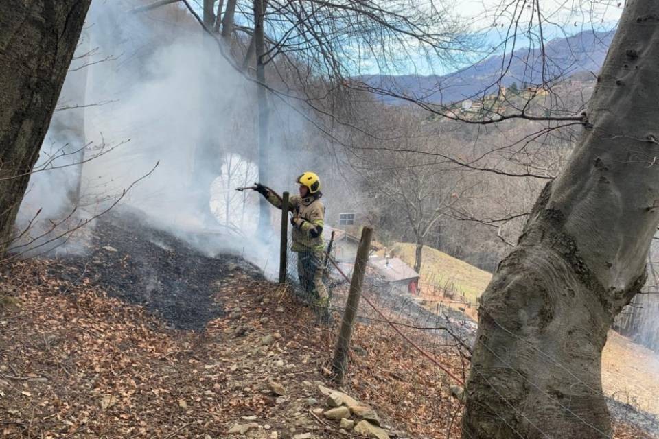 Fiamme nei boschi della Valcolla