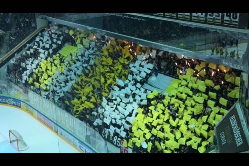 HC Lugano: licenza accordata