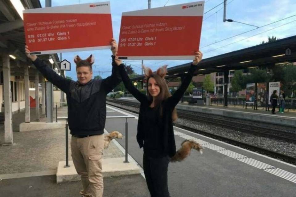 "Furbe volpi" anche di sesso maschile