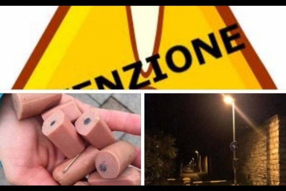 Segnalati bocconi avvelenati a Lugano