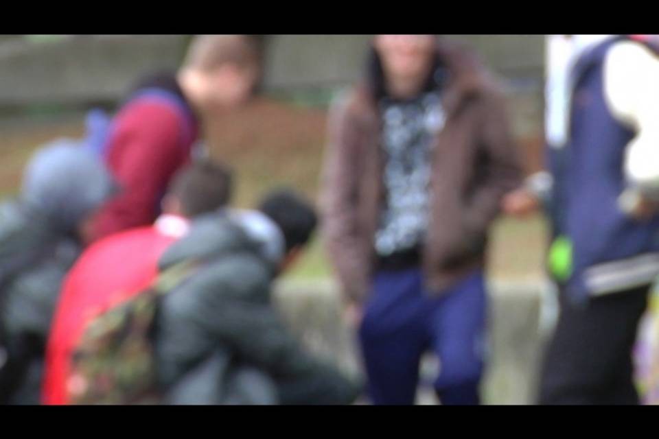 "Vittima dei bulli a scuola, ma il direttore non fa nulla"