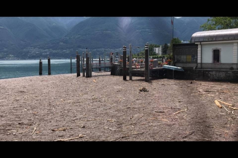 Sporcizia davanti al lungolago di Muralto: "Così non va"