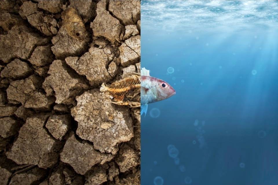 La popolazione è sempre più preoccupata per l'ambiente
