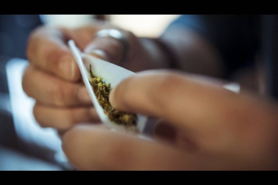 Etter e Chiappini - Multe per possesso di quantità esigue di cannabis