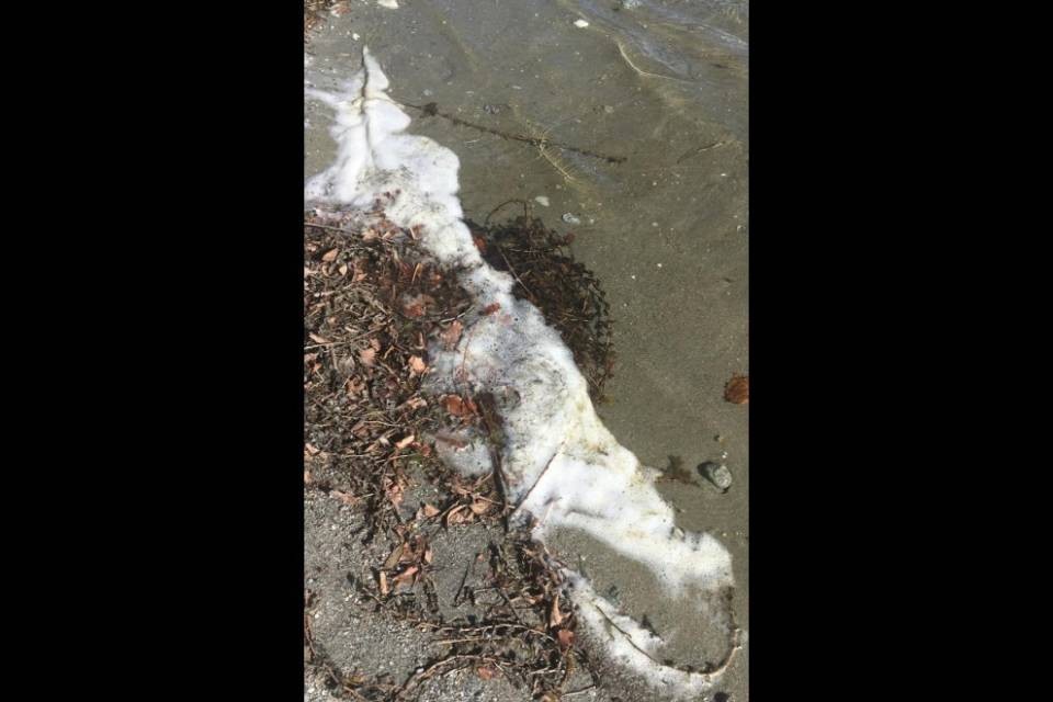 Inquinamento al lido di Locarno? Il DT spiega...