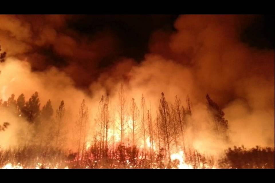 Il fuoco non si placa in California, 31 morti e 228 dispersi