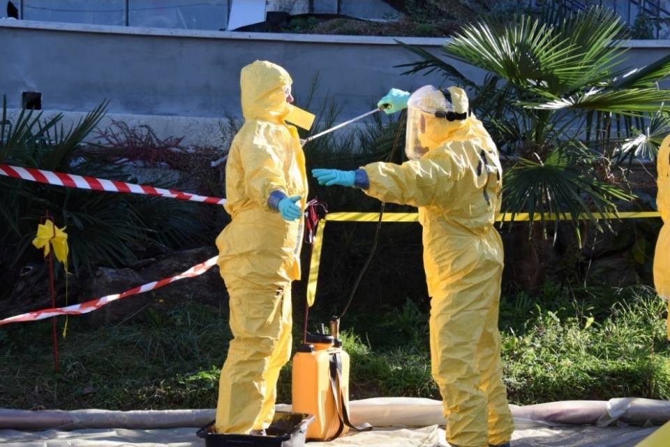 Newcastle: revocate le zone di protezione e sorveglianza