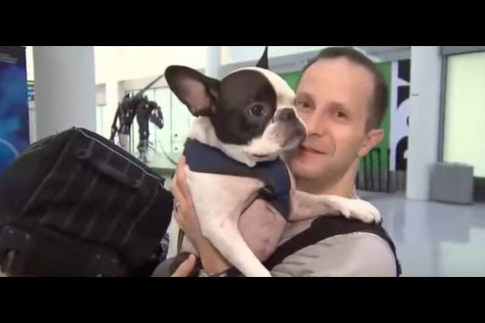 Dirotta l'aereo per salvare un cane