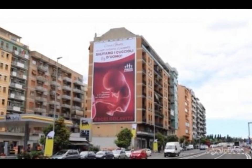 Gli antiabortisti si rivolgono a Greta: "Salviamo i cuccioli d'uomo"