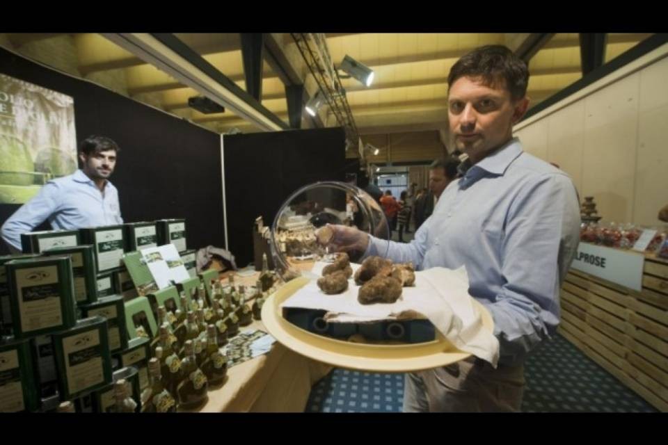Trovato un tartufo bianco di 1,2 kg