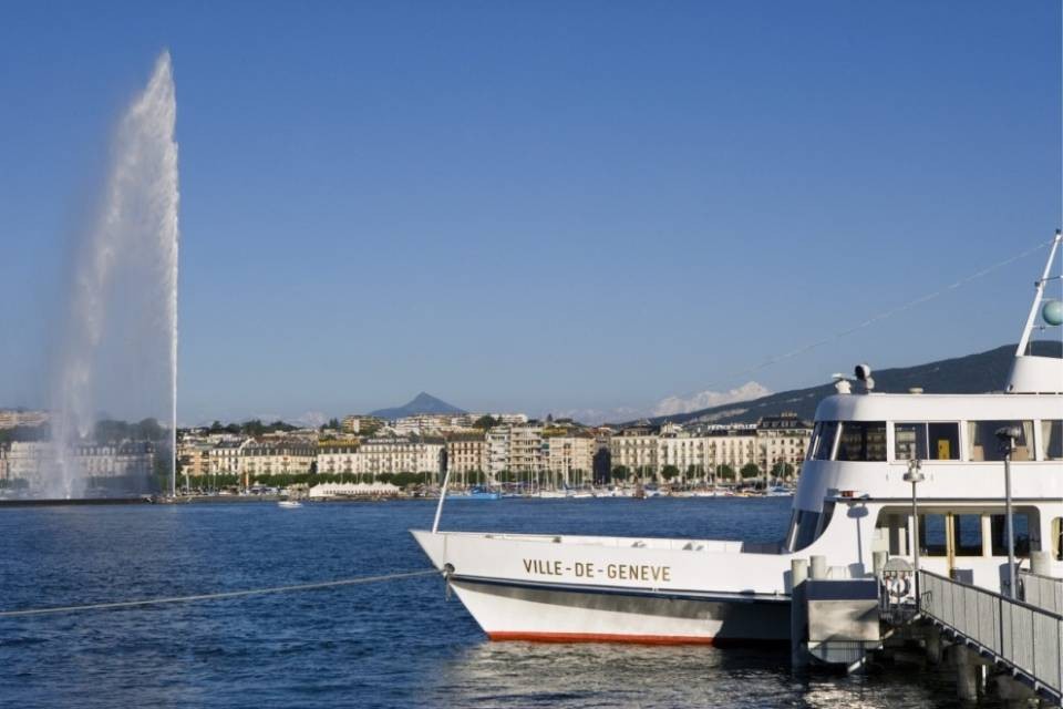 Influenza aviaria anche sulle rive del Lemano