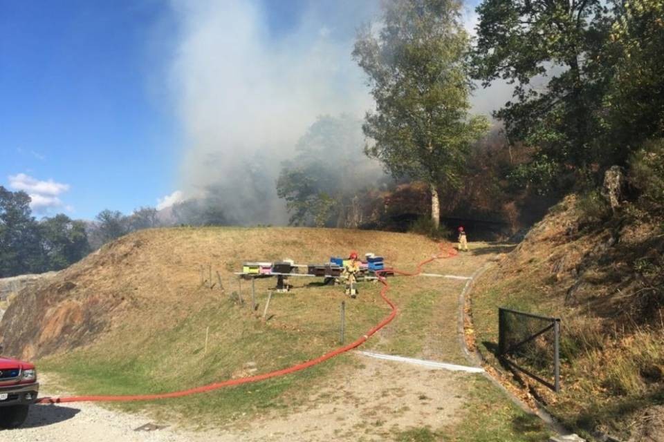 Bosco in fiamme sopra Giubiasco