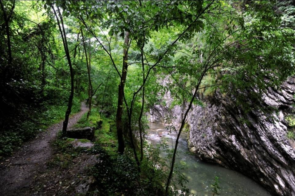 Si pulisce il verde a Balerna