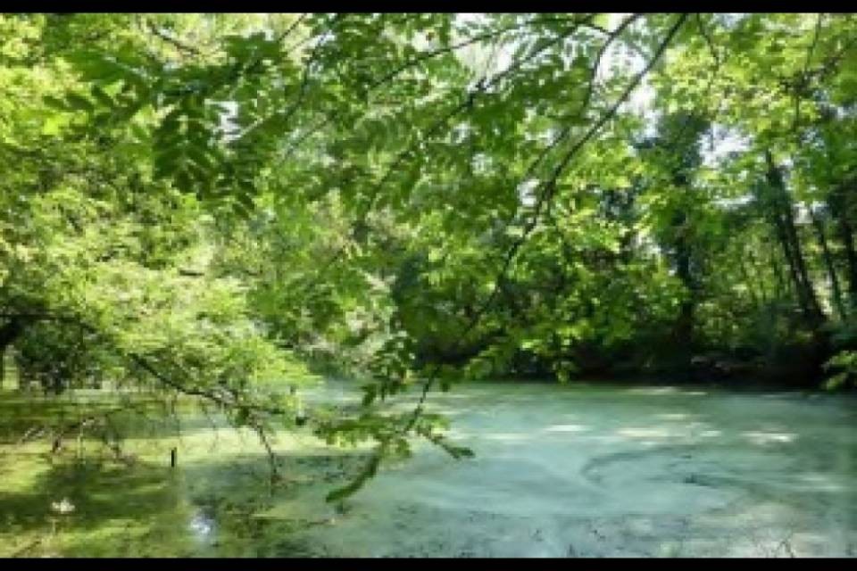 Nuova riserva naturale per il Mendrisiotto