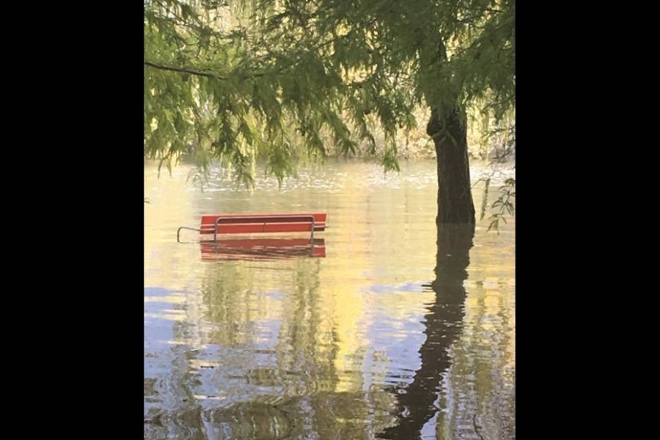 Il Parco della Pace allagato: "E sono bastati tre giorni di pioggia..."