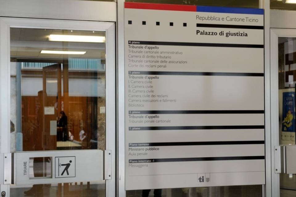 "Gatto tagliato a metà": scatta la denuncia