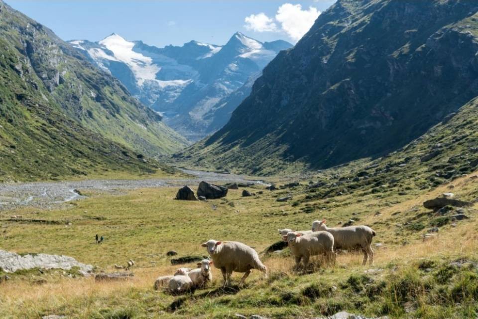 Parc Adula: "Un'opportunità di rilancio economico"