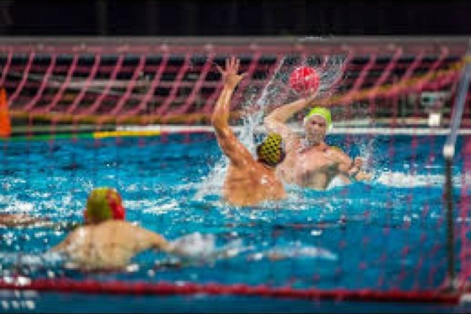 Fine settimana dolceamaro per i Lugano Sharks