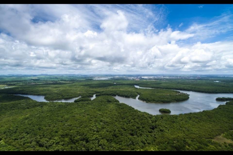 Allarme deforestazione in Amazzonia, più 300% in un anno